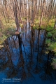 031_Biebrza - kwiecien 2012